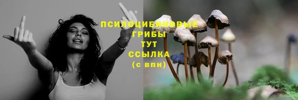 мескалин Алзамай