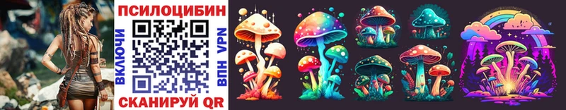 мориарти клад  Можга  Псилоцибиновые грибы Psilocybe 